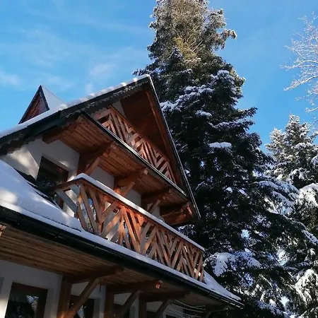 Mitia Zakopane