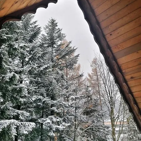 Mitia Zakopane