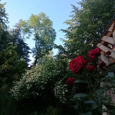 Villa Mitia