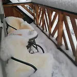 Mitia Zakopane