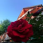 Mitia Zakopane