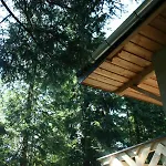 Mitia Zakopane