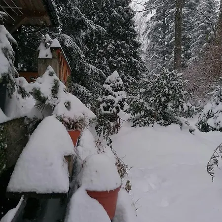 Mitia Zakopane