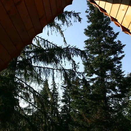 Mitia Zakopane
