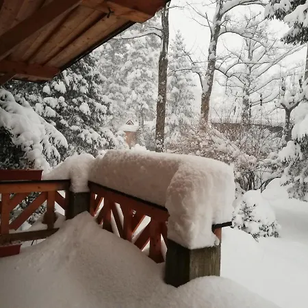 Mitia Zakopane