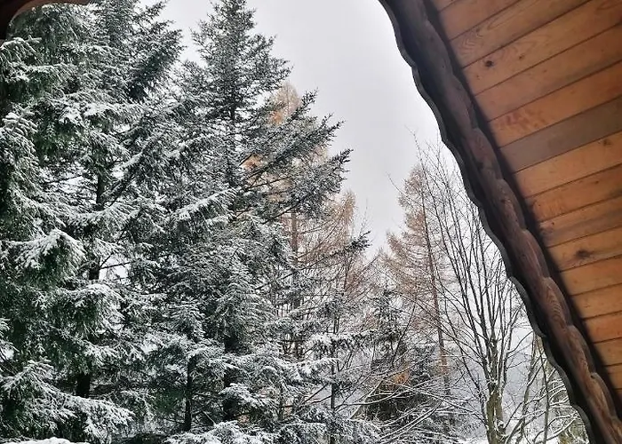 Mitia זקופאנה