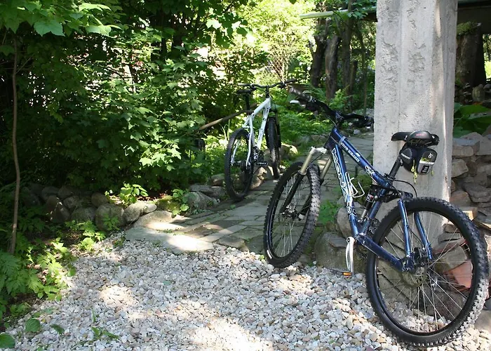 Mitia * זקופאנה