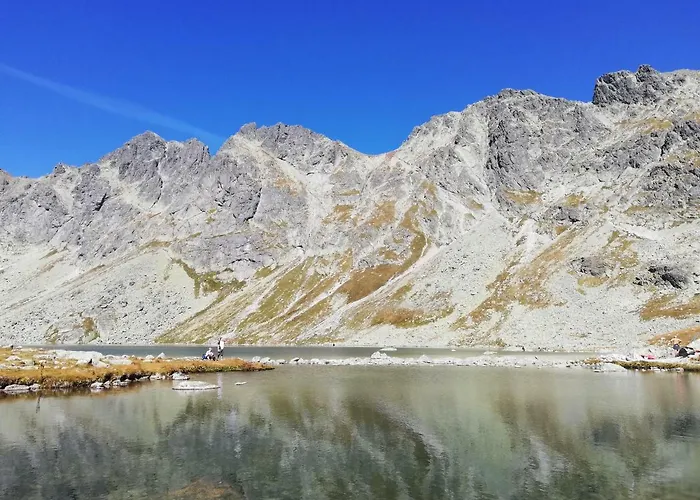 别墅 维拉米提亚旅馆
